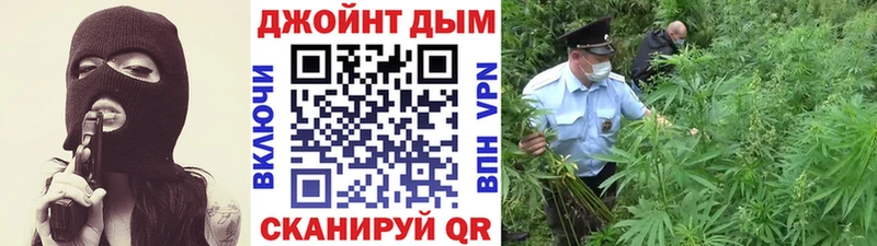 Виды наркотиков купить Гурьевск A-PVP  Меф мяу мяу  Cocaine  ГАШИШ  Бошки Шишки 