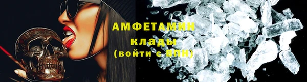 СК Дедовск