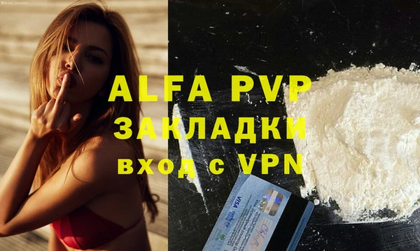 прущие грибы Лиски