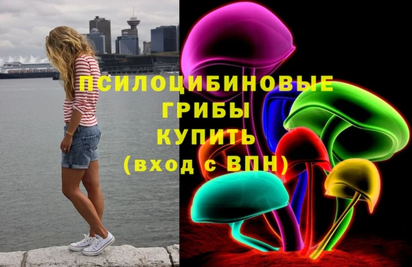 молекула духа Липки