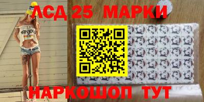 гашик Будённовск